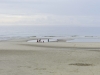compressed_0014