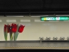 compressed_0457
