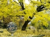compressed_0028
