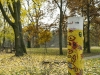 compressed_0029