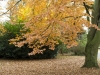 compressed_0031