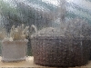 compressed_0548