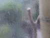 compressed_0552
