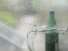compressed_0557