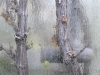 compressed_0562