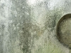 compressed_0564.jpg