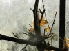 compressed_0567