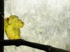 compressed_0568