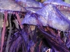 compressed_0345.jpg