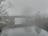 compressed_0490