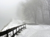 compressed_0491