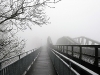 compressed_0492