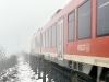compressed_0497