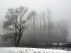 compressed_0498