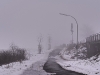 compressed_0499