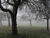 compressed_0508_0