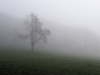 compressed_0516_0