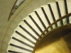 compressed_0365