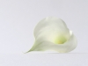 compressed_0084
