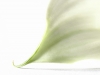 compressed_0085