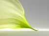 compressed_0086