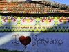 compressed_0230.jpg