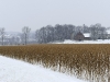 compressed_0469