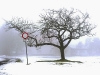 compressed_0470