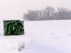 compressed_0476