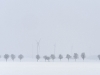 compressed_0477