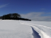 compressed_0478