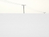 compressed_0479