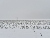 compressed_0483
